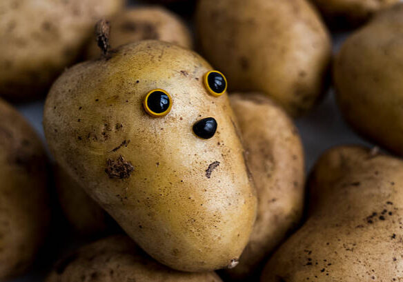 The face on the potato